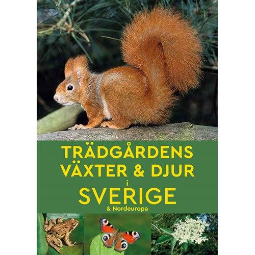 Trädgårdsväxter & Djur i Nordeuropa