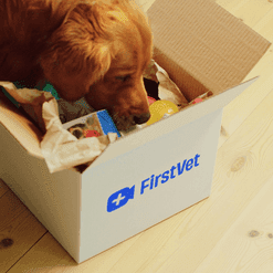 80 kr rabatt på FirstVet vid köp över 1 000 kr