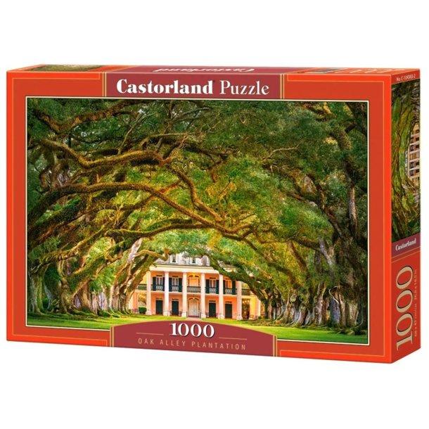 Castorland Pussel 1000 Bitar Oak Alley