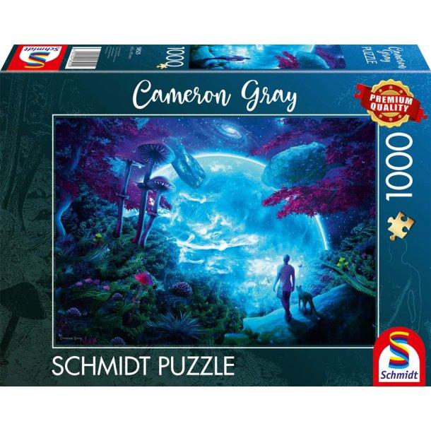 Schmidt 1000 Bitar Pussel Celestial Sky