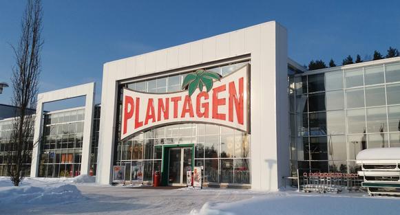 Medlemserbjudande: Upp till 50 % på alla gröna inomhusväxter