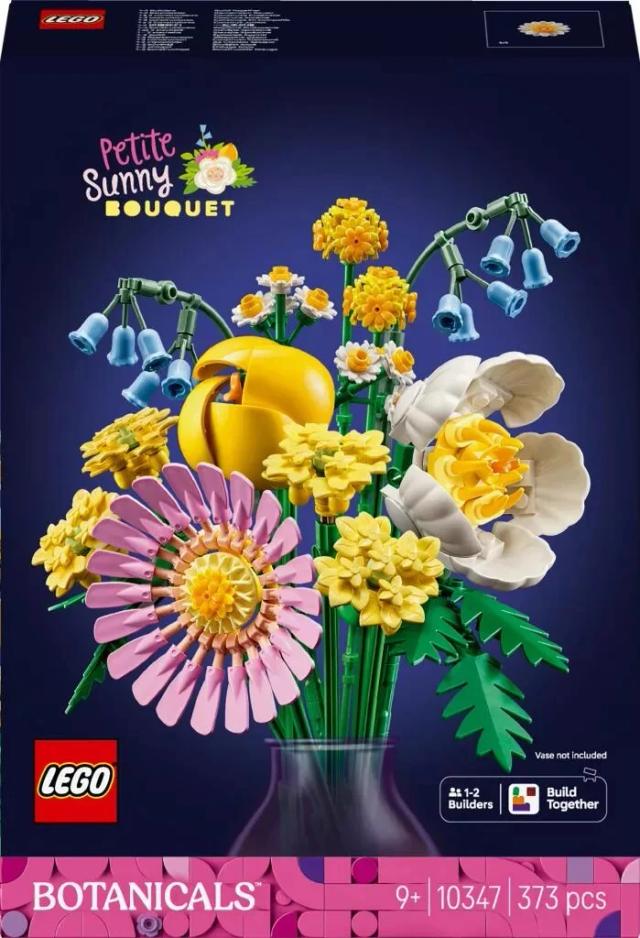 LEGO Botanicals Liten Sommarbukett 10347