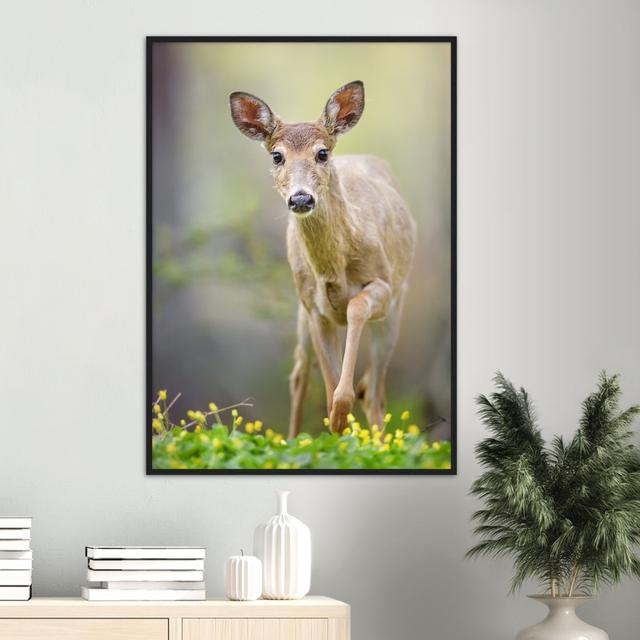 Young Deer Portrait Studio Selection Poster