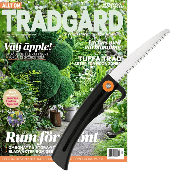 5 nr av tidningen + Grensåg från Fiskars