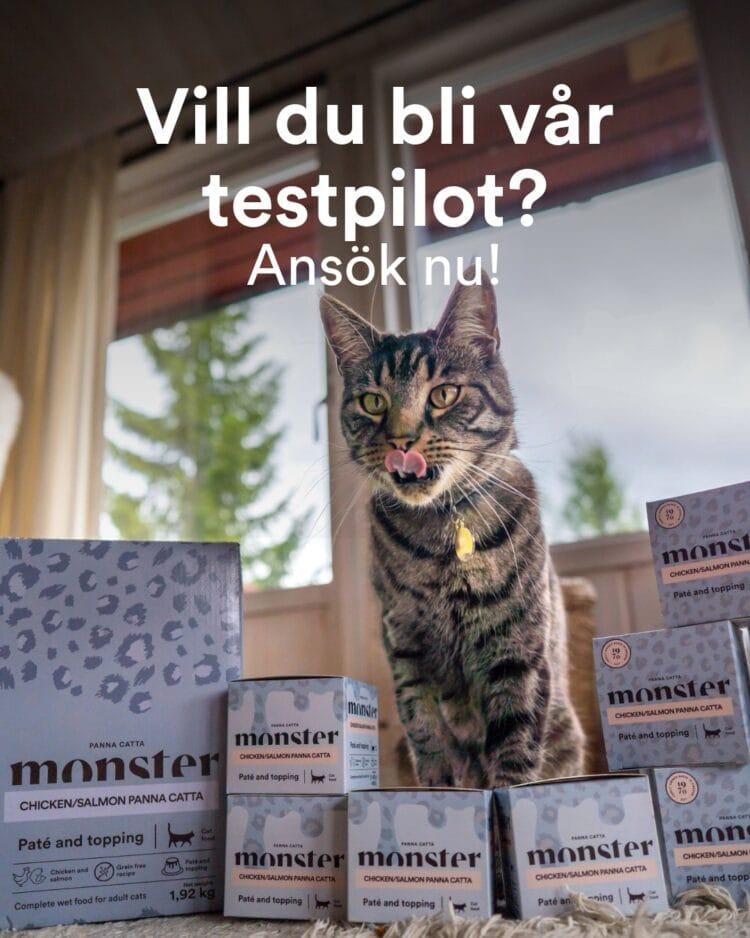 100 testpiloter sökes för katt