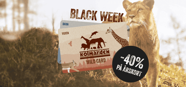 Kolmården - 40% rabatt på Wild Card 2024