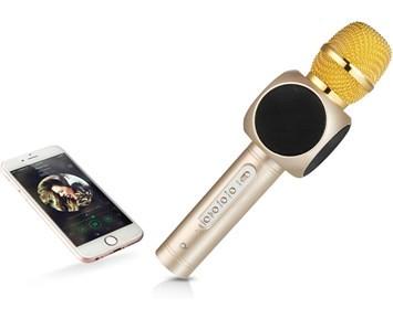 Andersson PYM 100 Partymikrofon med Bluetooth-högtalare