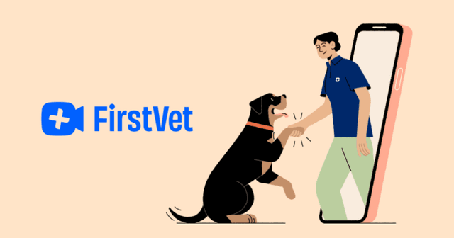 Möt Veterinär Digitalt - Effektivt & Bekvämt