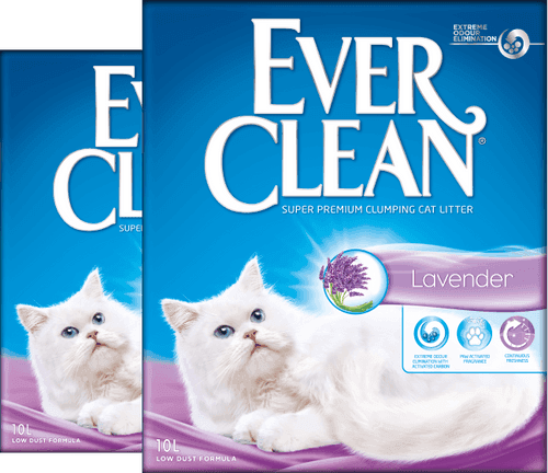 Ever Clean Lavender Scented Cat Litter