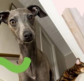 Gå med i Arken Zoo Kundklubb - få en gratis födelsedagspresent till din vän