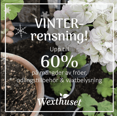 Wexthuset- 60 % på mängder av fröer