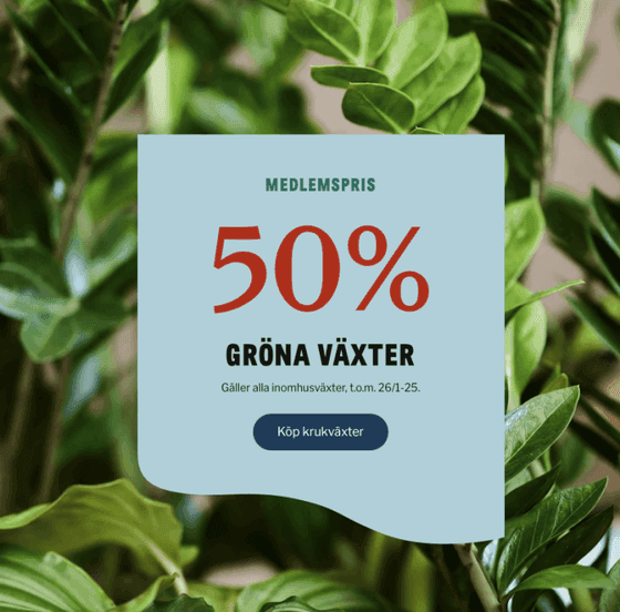 Medlemspris: 50 % på alla gröna inomhusväxter