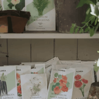 Spara pengar med 10 % rabatt hos FLOREA