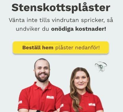 Carglass - gratis stenskottsplåster