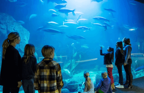 Universeum – spara 20 % med tidig bokning