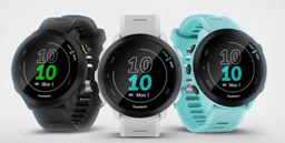 Garmin